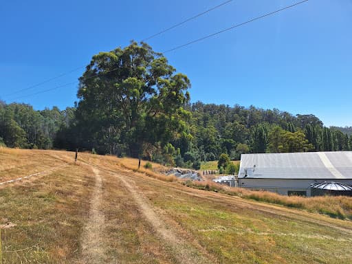 Tree Guy Tasmania Pty Ltd — Customer photo
