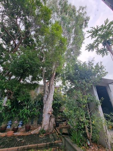 Arborclimb — Customer photo