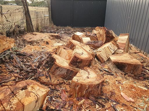 Affordable Stump & Grind — Customer photo