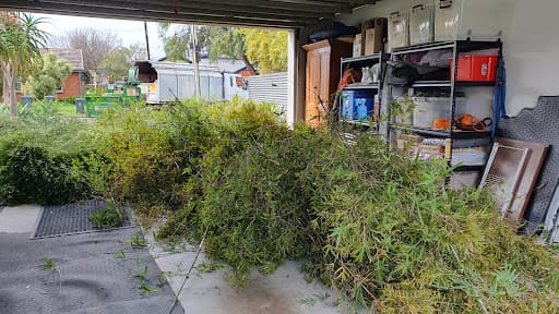 All Out Tree Removal Adelaide — Customer photo