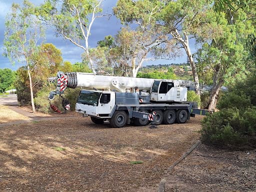 Austral Tree Services Pty Ltd (Depots in SA & VIC areas) — Customer photo