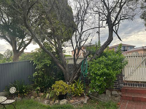 ABC All Tree Services Stump arborist tree lopping — Customer photo