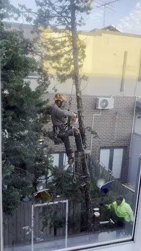 Brothers Tree Service Melbourne — Customer photo