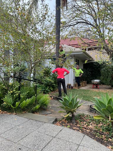 SA Tree Recyclers — Customer photo