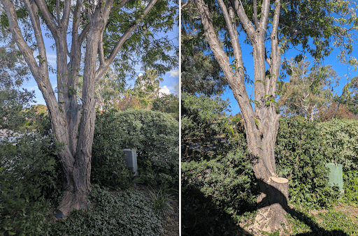 O'Briens Tree Services Canberra — Customer photo