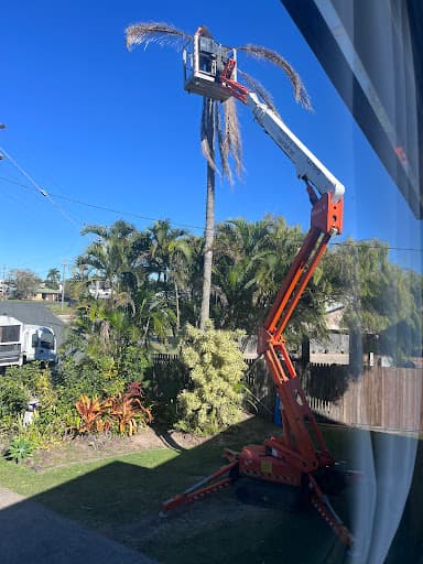 All Tree Services — Customer photo