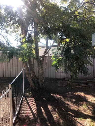 Southern Tree Care — Customer photo