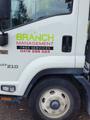 Branch Management Total Tree Services - Newcastle Tree Removal — Customer photo