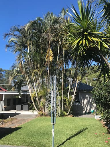 Touchwood Tree Services — Customer photo
