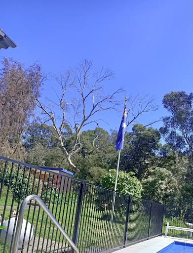 Adams Tree Services — Customer photo