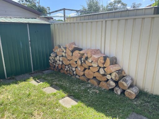 Sydney Tree Solutions — Customer photo