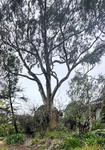 Dan & Rob Tree Specialists — Customer photo
