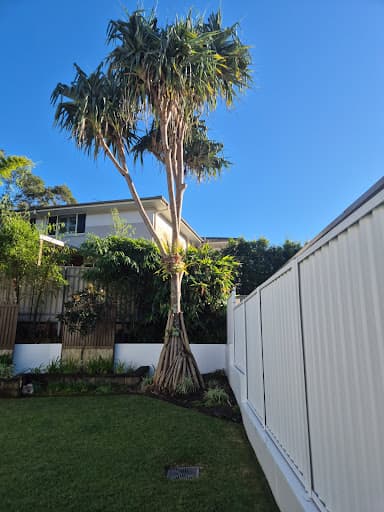 Tree Care Specialists — Customer photo