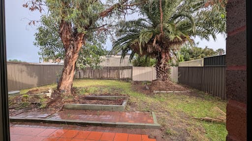 Tree Loppers Sydney-TLS — Customer photo