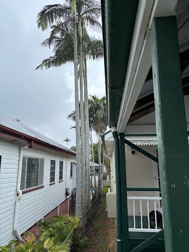 Budget Tree Removal — Customer photo