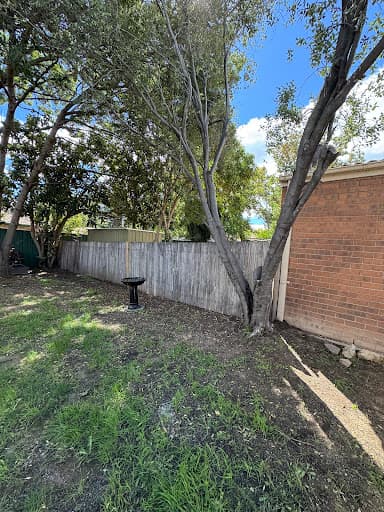 All tree services Canberra and Gosford — Customer photo