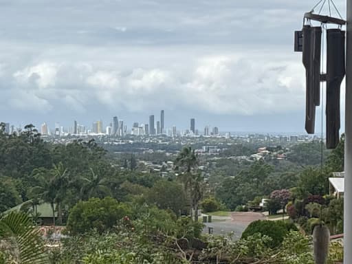 Tree Essence | Gold Coast Arborists — Customer photo