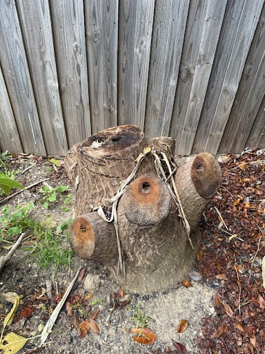 Stump Grinder Hire Australia — Customer photo