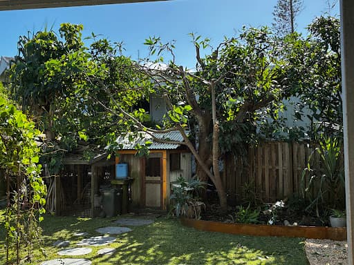 Greenish Tree Care — Customer photo