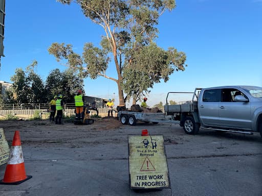 Jim's Trees & Stump Removal — Customer photo