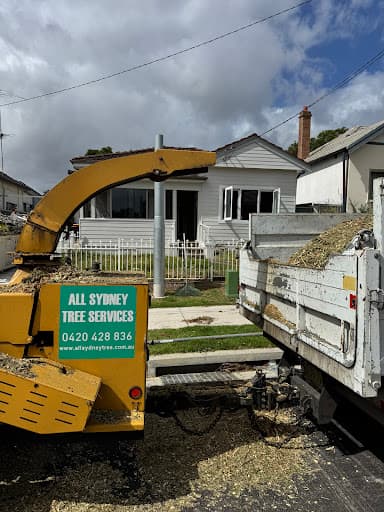 All Sydney Tree Services — Customer photo