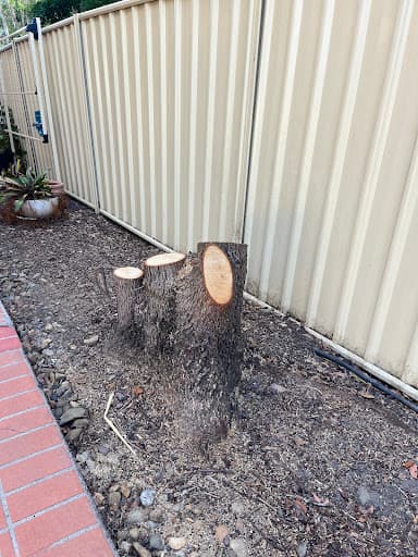 Stump Grind It — Customer photo