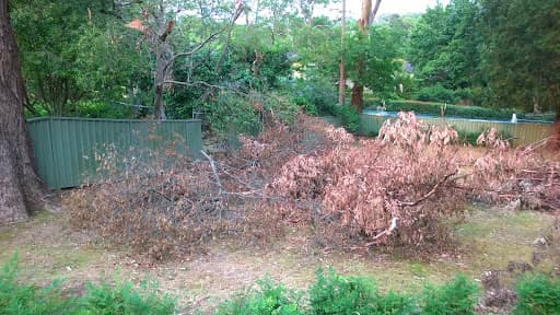 St George Tree Services — Customer photo