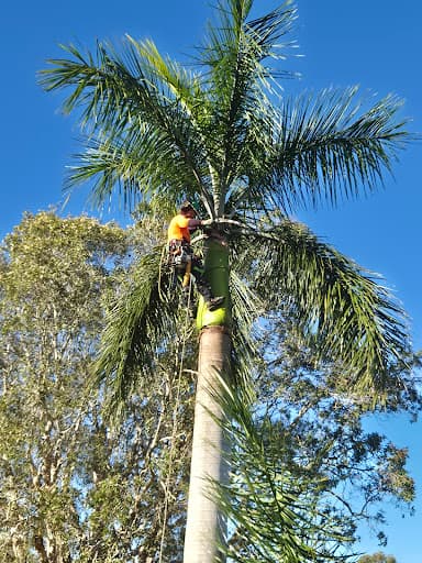 Tree Care Specialists — Customer photo