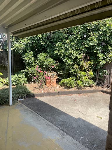 Shane's Trees — Customer photo