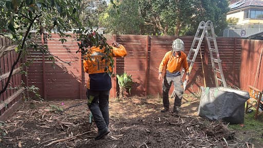 The Higher Climber Tree Services — Customer photo