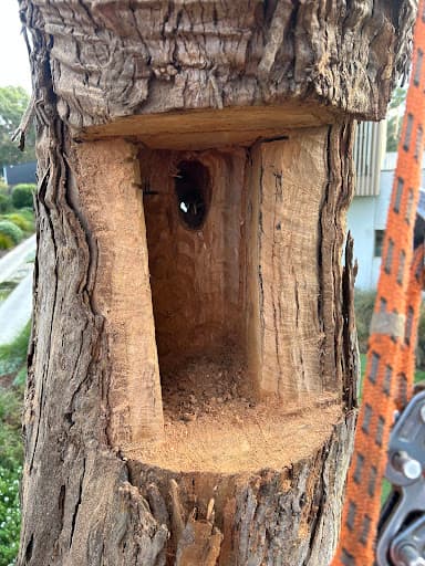 Ocean Road Tree Services — Customer photo