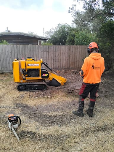 Stump Grinding Geelong — Customer photo