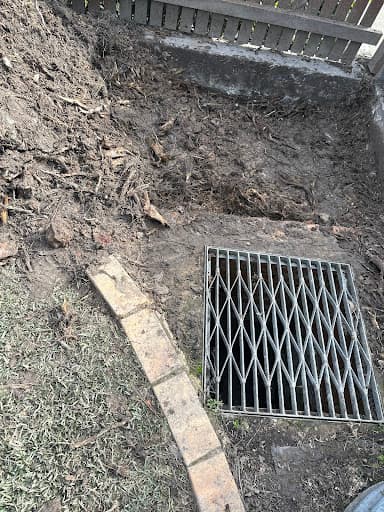 Sydney Stump Specialist — Customer photo