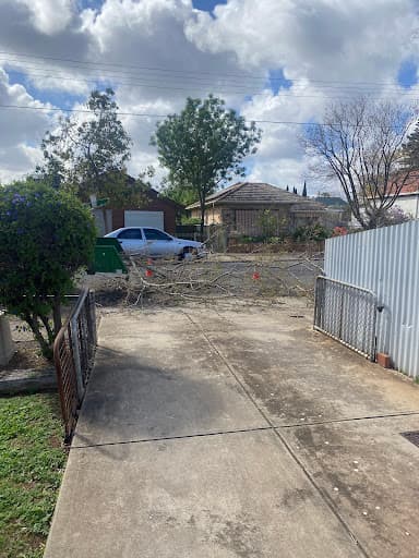 The Adelaide Tree Surgery — Customer photo
