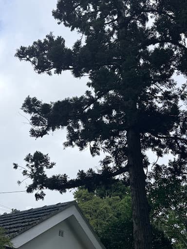 Arbor Pride — Customer photo