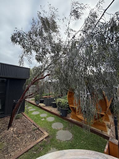 Ocean Road Tree Services — Customer photo