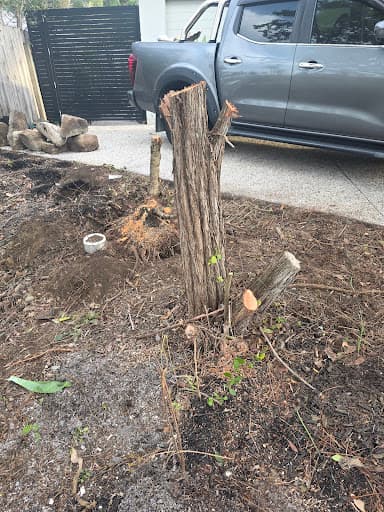 Speedy Stump Grinding — Customer photo