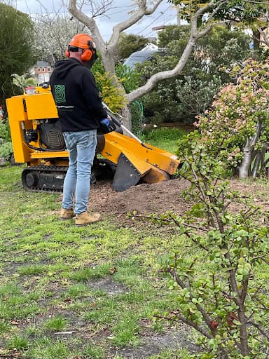 Melbourne Stump Grinding Services — Customer photo