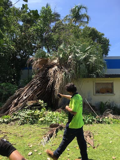 Arborcare Tree Services NQ — Customer photo