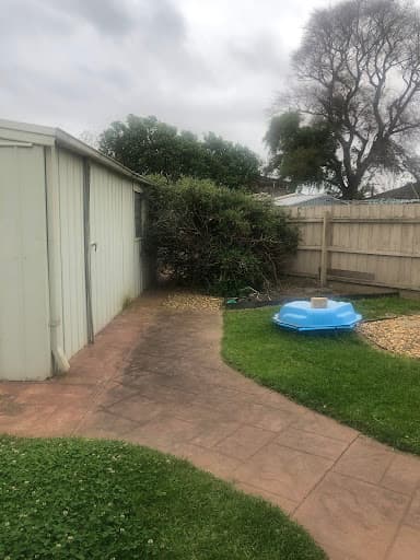 ArborCraft Tree Services — Customer photo