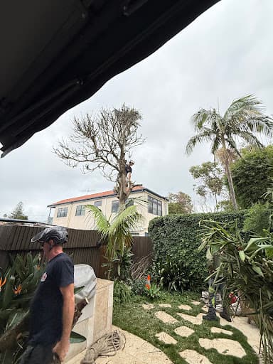 JW Tree Services — Customer photo