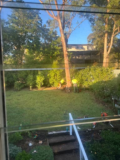 Clearview Tree Service — Customer photo