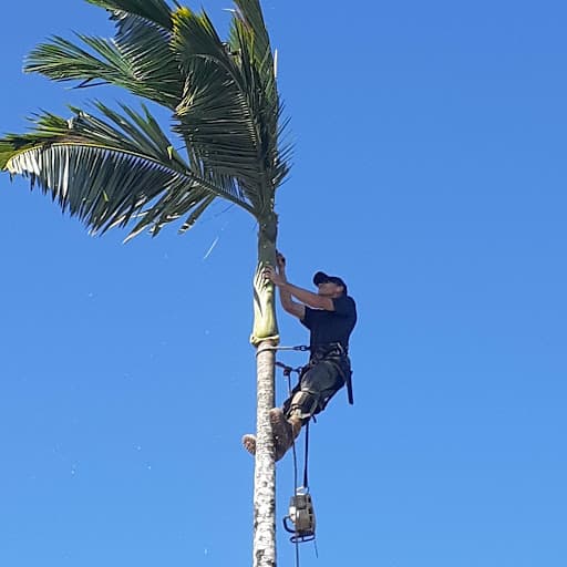 Cairns Garden & Tree Lopping Services — Customer photo