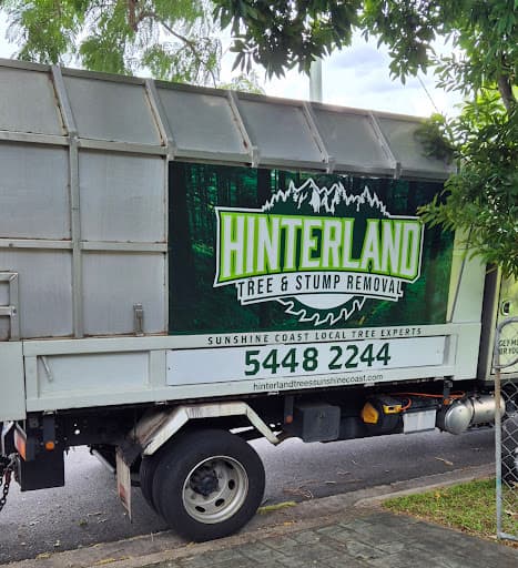 Hinterland Tree and Stump Removal Sunshine Coast — Customer photo
