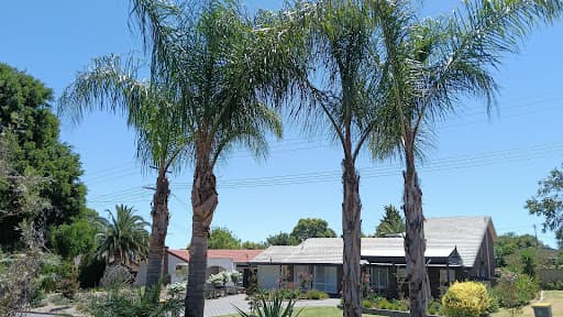 Final Cut Tree Solutions — Customer photo