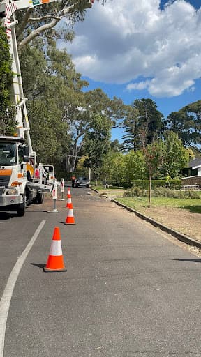 Embark Tree Services — Customer photo