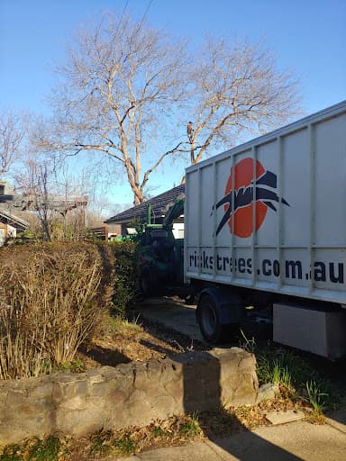 Rick's Trees — Customer photo