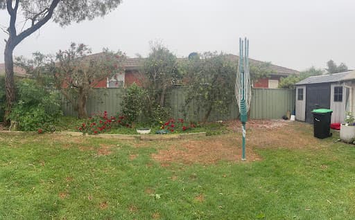 St George Tree Services — Customer photo