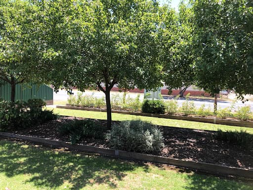 Bendigo Stump Grinding and Tree Removal — Customer photo