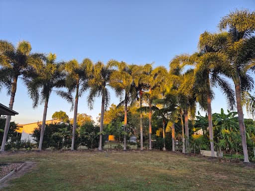 Tree Change NQ — Customer photo